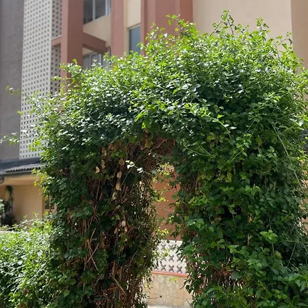 Maysan Apartment *